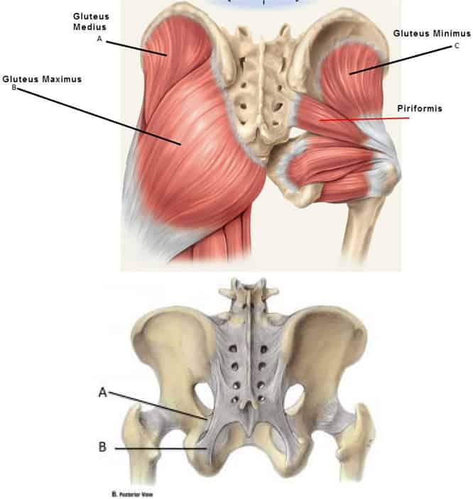 Treating Hip Pain with Chiropractic Treatment