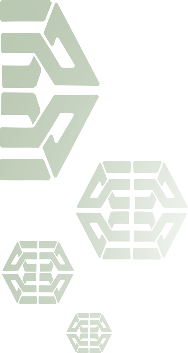 Home 31 Section 12 logo bg