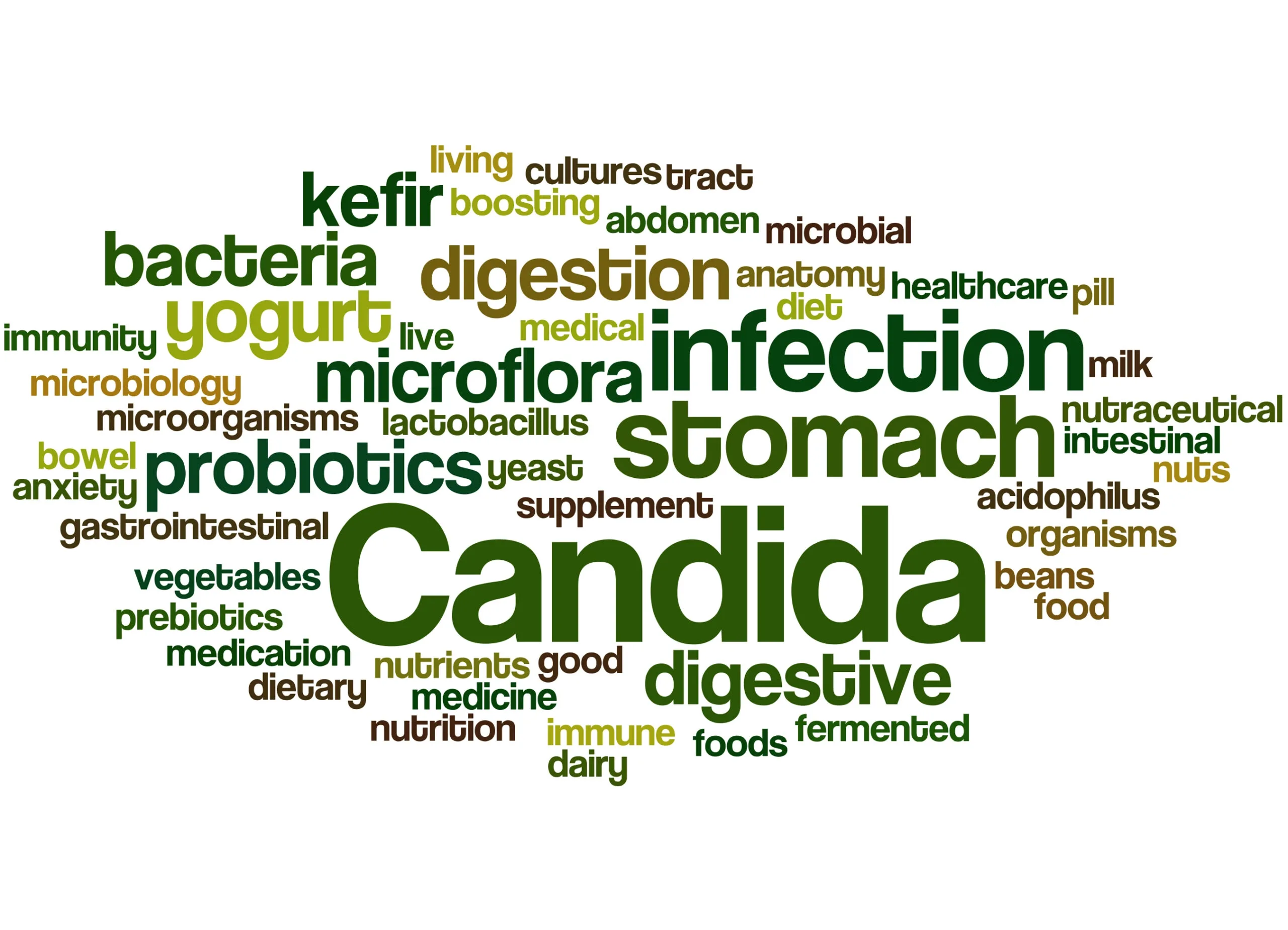 Candida/Yeast Overgrowth 5 word diagram about stomach issues