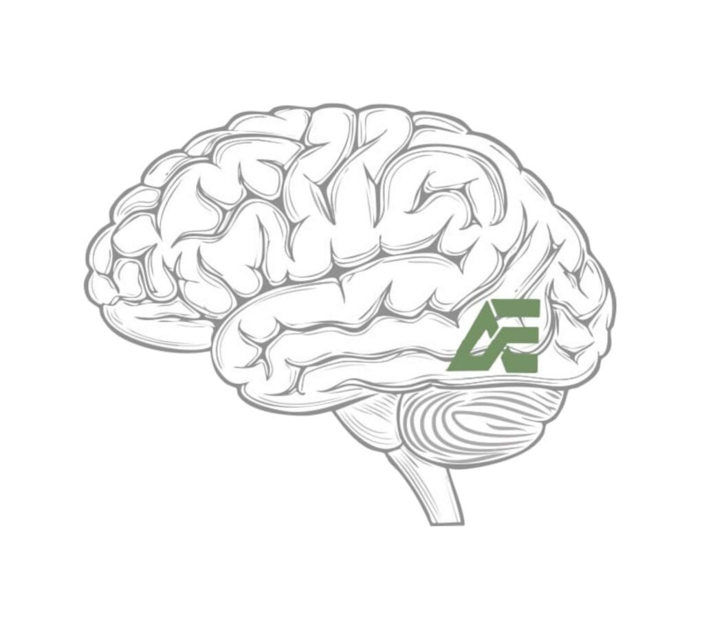 May 2026 Newsletter Mental Health Awareness Month Your Gut Your Brain Your 1